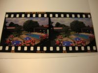 25560 W2216 Puls KEINE AK Schwimmbad, Dia