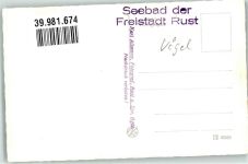 7071 Rust Foto AK Störche Foto Allemann