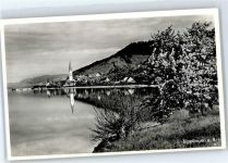 78354 W7767 Sipplingen