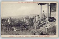 21200 Beaune - MM. Bouchard Pere & Bils, Les Vendages en Bourgogne