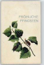 Pfingsten Maikäfer