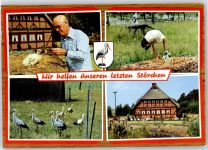 27283 W2810 Verden (Aller) - Storch-Pfelegstation