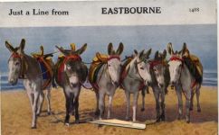 Eastbourne - Leporello, Esel