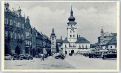 Zatec Saaz