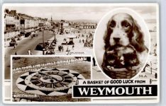 Weymouth - A Basket of good luck