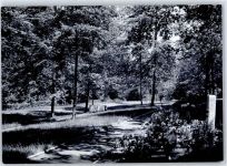 96472 W8633 Rödental - Waldfriedhof