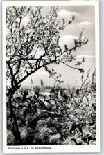 69469 W6940 Weinheim , Bergstr - Notopfer
