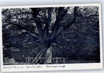 23714 W2423 Malente-Gremsmühlen - Kletterbaum