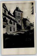 Zatec Saaz