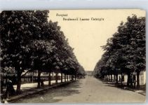 Focsani - Boulevard Lascar Catargiu