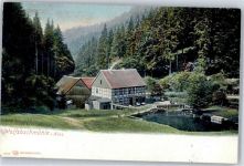 38700 W3389 Hohegeiß