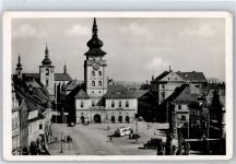 Zatec Saaz