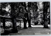 35619 W6333 Braunfels - Lindenallee im Herrengarten