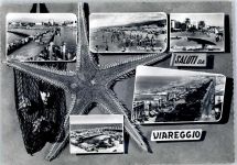 55049 Viareggio