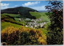 59955 W5788 Silbach , Sauerl