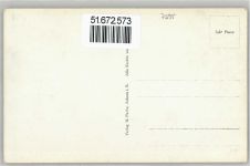 77887 W7595 Brandmatt