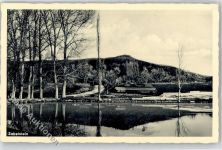 75385 W7264 Zavelstein