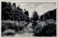 Bad Altheide Polanica Zdroj - An der Weistritz