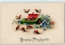 PfingstenVergissmeinnicht Maikäfer