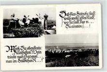 2000 Stockerau Collage Störche Storchennest Ort lt. Stempel