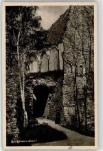 93093 W8405 Donaustauf - Burgruine Stauf