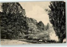 16818 O1950 Zechlin Dorf - Blick auf Elsenhöh
