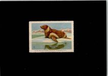 Washington D.C. Robbe Vignette