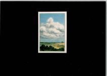 Natur Vignette
