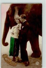 Elefant