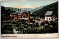08491 O9804 Netzschkau 1903 - Bad Rosenthal