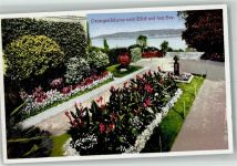 78462 W7750 Insel Mainau Foto AK Orangenbäume in den Parkanlagen