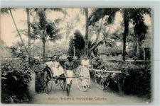 Colombo - Bullock Hackery Ginrickshaw