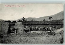 Ploughing Hill Country