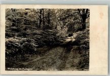 39340 O3240 Neuhaldensleben OT Haldensleben - Waldweg im Podagrin Ort lt. Stempel