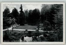 08393 O9612 Meerane - Im Wilhelm Wunderlich Park