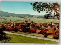 38685 W3394 Wolfshagen im Harz FOTO KEINE AK Panorama des Ortes mit St. Thomas Kirche Foto Original aus Archiv eines Ansichtskartenverlages