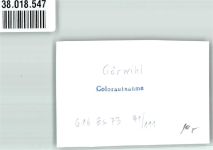 79733 W7883 Görwihl FOTO KEINE AK Ort handschriftlich Foto Original aus Archiv eines Ansichtskartenverlages