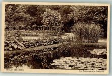 10115 W1000 Steglitz 1929 Foto AK Rosengarten Stadtpark
