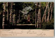 Frantiskovy Lazne Franzensbad 1901 Foto AK Denkmal Loimannspark