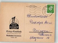 79761 W7890 Waldshut 1961 - Geschäft Gartenbaubetrieb Krieg-Knobloch Fleurop
