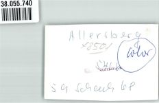 90584 W8501 Allersberg FOTO KEINE AK VW T 1 Oldtimer Ort handschriftlich Foto Original aus Archiv eines Ansichtskartenverlages