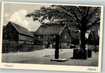 38384 W3339 Watenstedt - Dorfplatz mit Schwengelbrunnen und Dorflinde