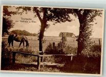 25938 W2270 Nieblum 1925 Foto AK Dorfpartie Pferd