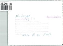 29646 W3045 Bispingen FOTO KEINE AK Neuborstel Ort handschriftlich Fliegeraufnahme Foto Original aus Archiv eines Ansichtskartenverlages