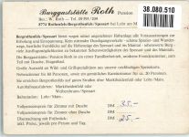 97851 W8774 Bergrothenfels FOTO KEINE AK Gasthaus Roth Pension