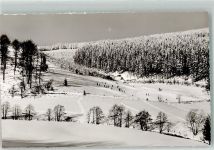 29614 W3040 Willingen Foto AK Winter Skihang in der Wamecke