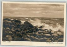 18581 O2331 Insel Vilm - Süd-Ost-Wind am Schneider
