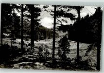 29614 W3040 Willingen Foto AK Hermeketal
