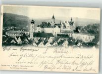 72488 W7480 Sigmaringen 1899 Foto AK Schloss