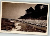 24340 W2330 Eckernförde 1929 - Eine bewaldete Steilküste an der Ostsee